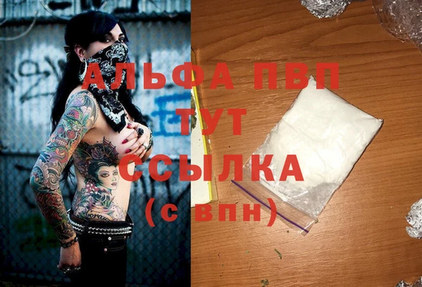 винт Алексин
