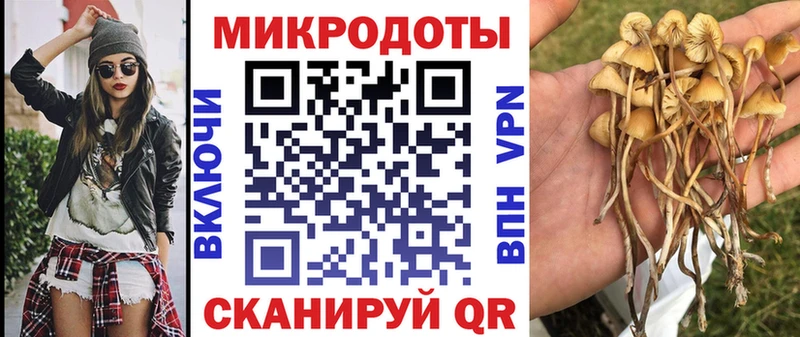 Псилоцибиновые грибы MAGIC MUSHROOMS  купить закладку  Спасск 